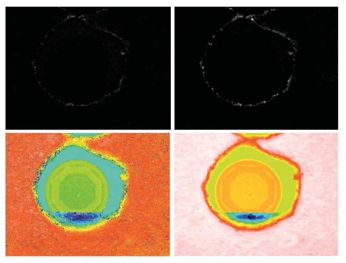 three-dimensional-measurements-with-a-novel-technique-combination-of-confocal-and-focus-variation-with-a-simultaneous-scan_3