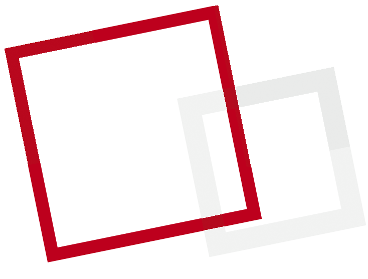 Integrable Solutions
