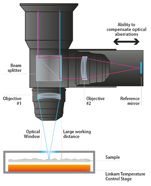 cs21 Linkam - silicon wafer 3