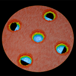 Concentricity B