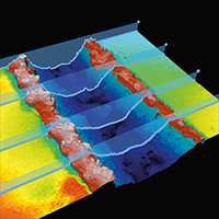 GROOVE PROFILE