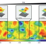 Fast topographic optical imaging using encoded search focal scan