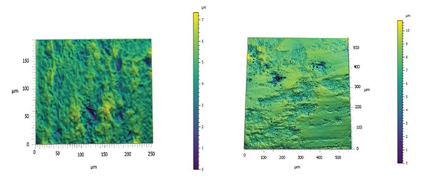 cs30 IMF CSIC Fig.2_3D texture map generated from a Confocal scan