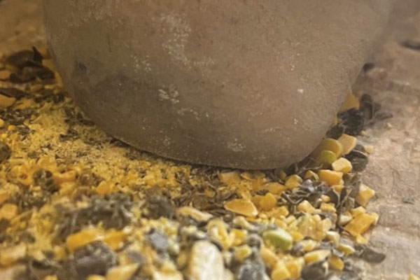 cs30 IMF CSIC Fig.3_Experimental ground stone replica