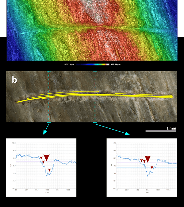 cs33_iphes_bone_surface_modifications_figure_3b Figure 3b - Surface analysis of incision geometry and penetration depth supports the identification of weapon-related injuries.