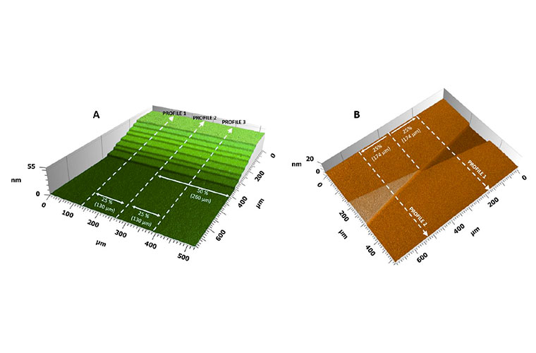 3D label free bio-transfer standards 3D label free bio-transfer standards