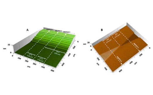 3D label free bio-transfer standards