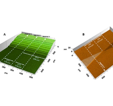 3D label free bio-transfer standards