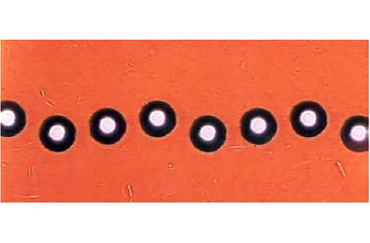 3D shape and texture measurements on the micro and nano-scales using a new dual-technology optical sensor head 3D shape and texture measurements on the micro and nano-scales using a new dual-technology optical sensor head