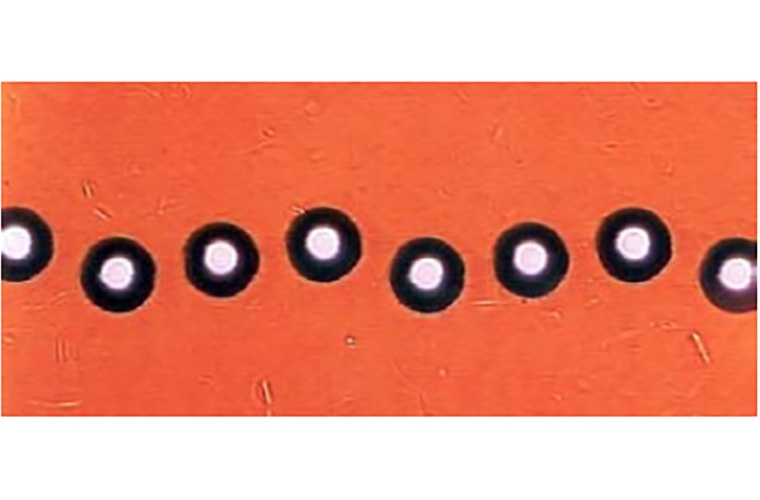 3D shape and texture measurements on the micro and nano-scales using a new dual-technology optical sensor head 3D shape and texture measurements on the micro and nano-scales using a new dual-technology optical sensor head