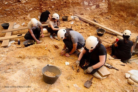Optical profilometry in forensic taphonomy: studying cannibalism and interpersonal violence in archaeological contexts