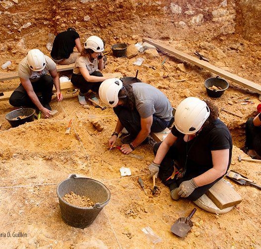 Optische Profilometrie in der forensischen Taphonomie: Untersuchung von Kannibalismus und interpersoneller Gewalt in archäologischen Kontexten