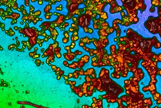 The effect of salt deposition on the performance of floating PVs