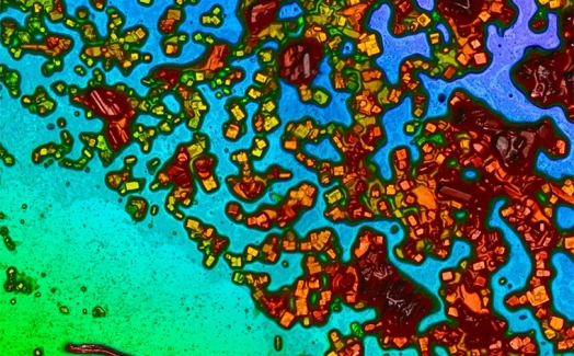 The effect of salt deposition on the performance of floating PVs