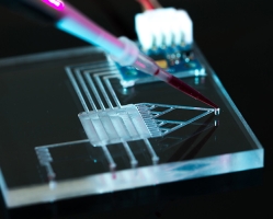 Characterization of microchannels fabricated with laser for microfluidic applications
