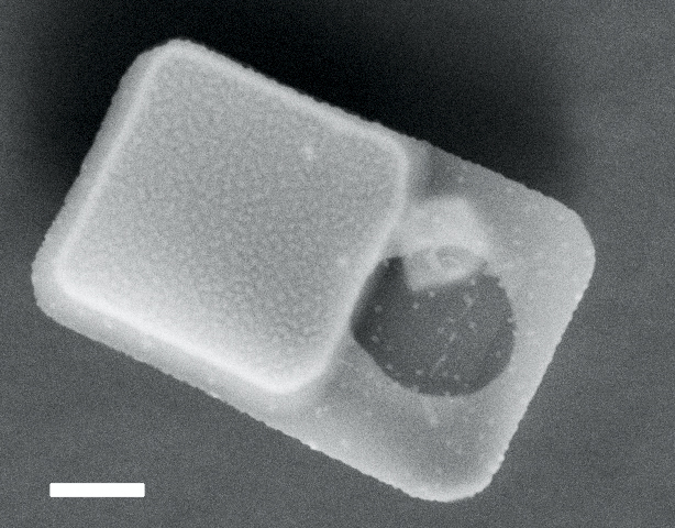 cs_nano_pressure_sensor1 cs_nano_pressure_sensor1