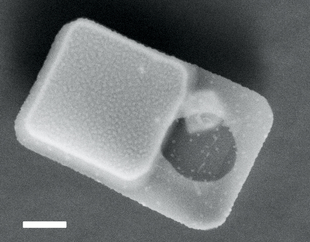 cs_nano_pressure_sensor1 cs_nano_pressure_sensor1