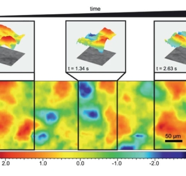 Fast topographic optical imaging using encoded search focal scan