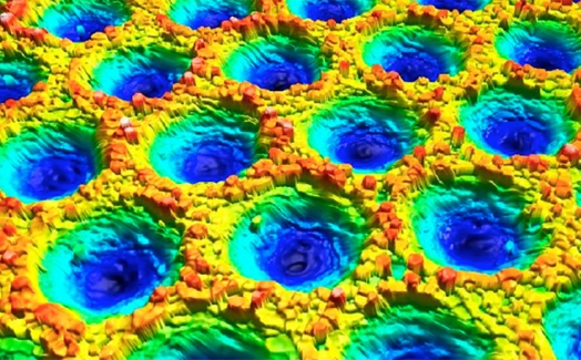 High-speed, roll to roll coherence scanning interferometry in a laser texturing process