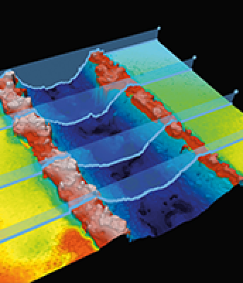 GROOVE PROFILE