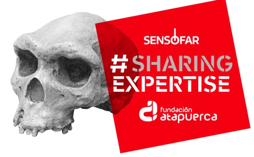 Sensofar will be at Atapuerca archaeological site this July