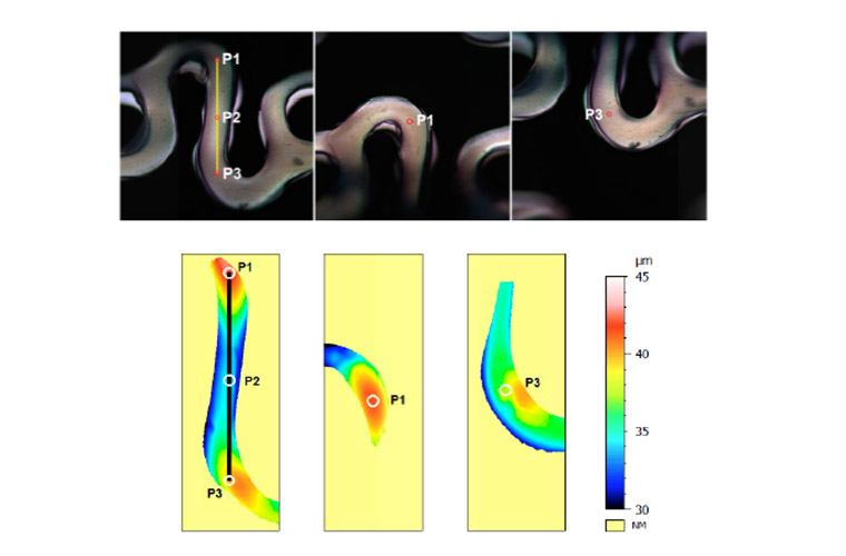 Optical stent inspection of surface texture and coating thickness