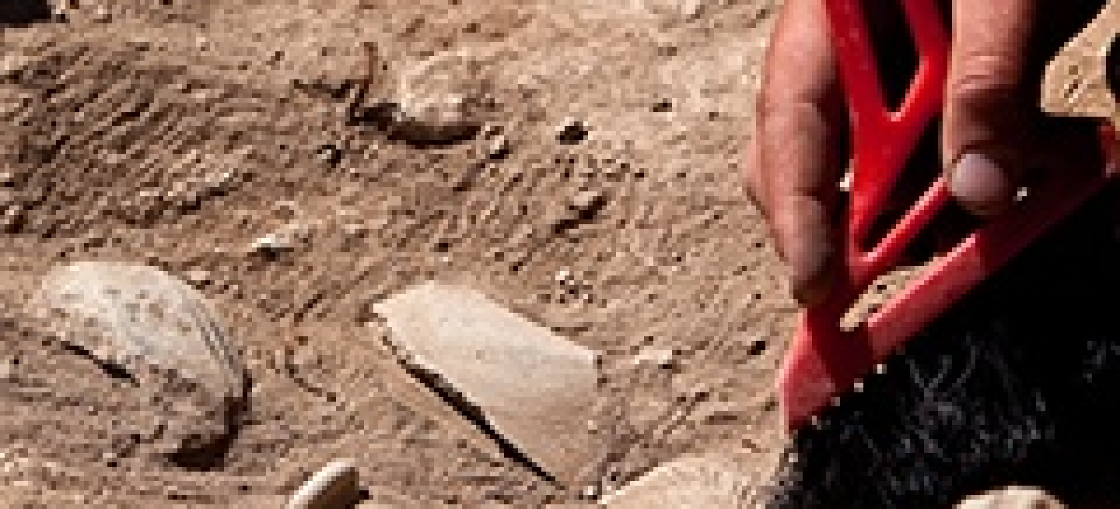archaeology & paleontology sensofar 