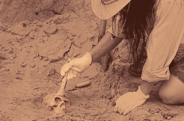 Warum ist ein optisches Profilometer für Paläontologie und Archäologie wichtig? Warum ist ein optisches Profilometer für Paläontologie und Archäologie wichtig?