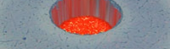 COLOR CONCENTRICITY