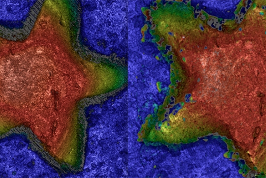 Single-shot optical surface profiling using extended depth of field 3D microscopy